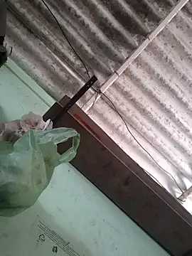 akshant1234 online show from November 2025 04:51:01 AM