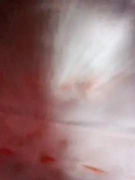 Pinki thakur 1 online show from September 2025 06:41:02 PM