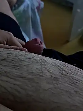 t-dog26 online show from October 2025 03:36:02 AM