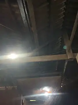 EmLy02 online show from April 2026 11:00:02 AM