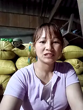 Mini3333 online show from March 2026 11:59:02 AM