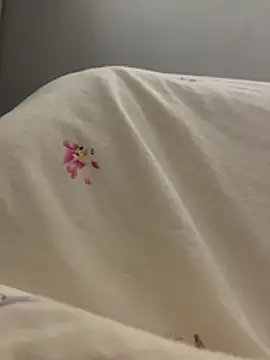 Snapshot of Hl1979 chatting on February 2026 11:44:02 AM Hl1979 online show from February 2026 11:44:02 AM