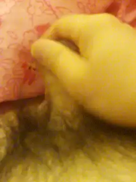 Snapshot of Hl1979 chatting on February 2026 09:04:01 PM Hl1979 online show from February 2026 09:04:01 PM