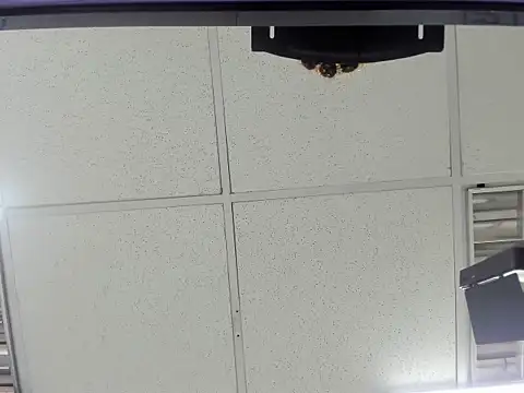 Aisha hotts777 online show from March 2026 02:49:02 AM