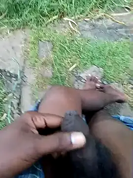 dolphiinn online show from December 2025 01:13:02 AM