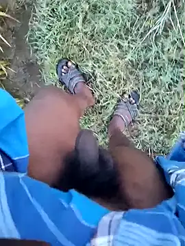 dolphiinn online show from January 2026 01:09:02 AM