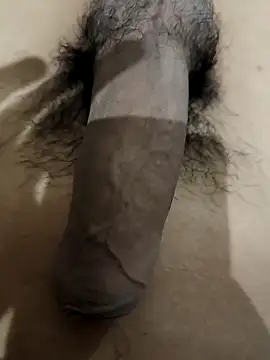 Snapshot of official_plsr5 chatting on November 2025 11:44:02 AM official plsr5 online show from November 2025 11:44:02 AM