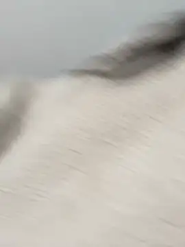 Victoria alson online show from February 2026 01:29:01 PM