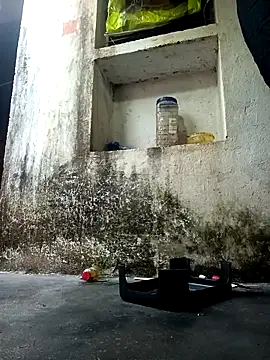 cute diya 12 online show from December 2025 02:50:01 AM