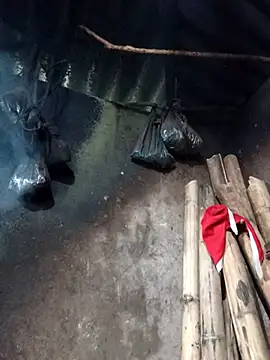  Helala  online show from February 2026 08:35:01 AM