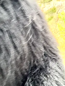 desiredude9 online show from November 2025 07:10:02 AM