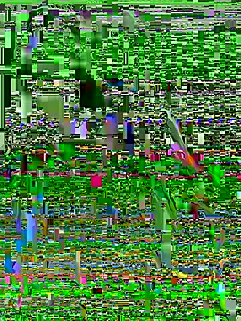 Snapshot of Ariovalle chatting on July 2026 07:25:01 AM Ariovalle online show from July 2026 07:25:01 AM