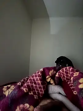 bomcasal online show from February 2026 11:00:01 PM