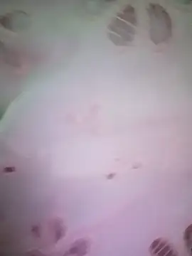 merylove-00 online show from April 2026 03:30:02 PM