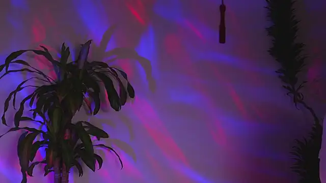 bri von dhara   online show from March 2026 12:18:02 AM