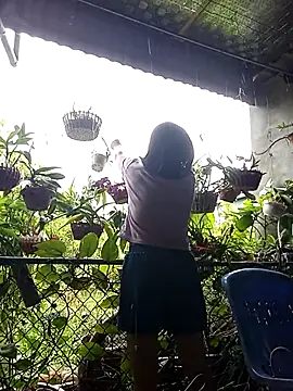 Thaohoa love online show from September 2025 09:25:02 AM