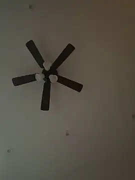 Bigdickpinnky online show from May 2026 10:42:02 AM