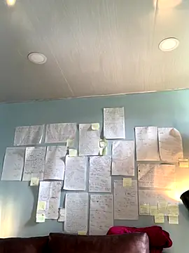 Canneela online show from December 2025 06:06:01 PM