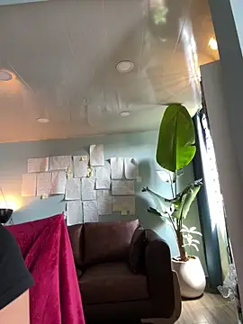 Canneela online show from February 2026 07:04:01 PM