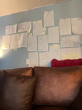 Canneela online show from March 2026 07:00:02 PM