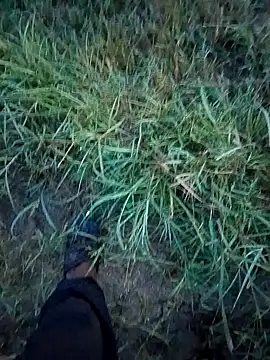 Snapshot of Sonia66w chatting on September 2025 12:21:01 AM Sonia66w online show from September 2025 12:21:01 AM