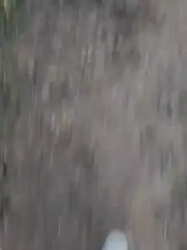 Snapshot of Sonia66w chatting on October 2025 12:49:02 AM Sonia66w online show from October 2025 12:49:02 AM