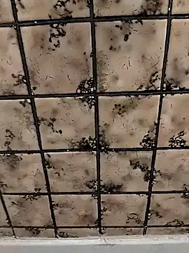 rosembertg online show from October 2025 01:07:01 PM