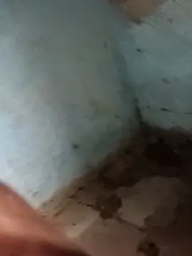 Sheema tyagi online show from November 2025 07:47:02 PM