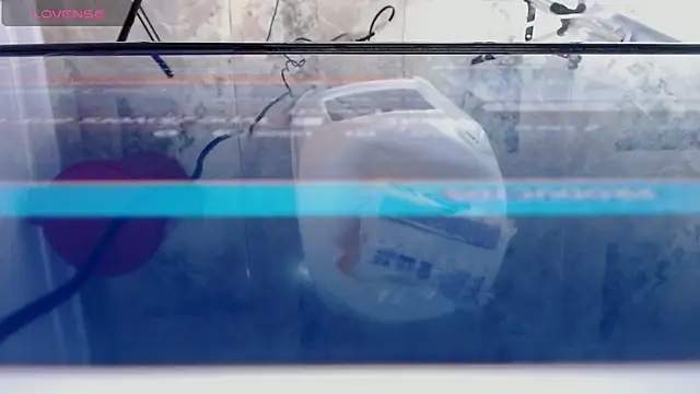 andrealopezcm101 online show from December 2025 12:15:01 AM