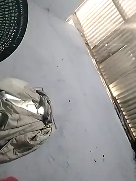 Kausafadinha online show from November 2025 04:44:01 PM