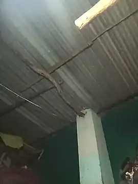 Snapshot of Hot-honi chatting on September 2025 01:45:01 PM Hot-honi online show from September 2025 01:45:01 PM