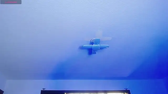  Charlotte Collins  online show from March 2026 02:14:02 PM