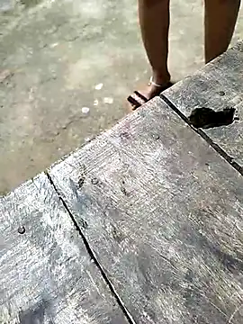 sexy  girls98 online show from December 2025 05:48:01 AM