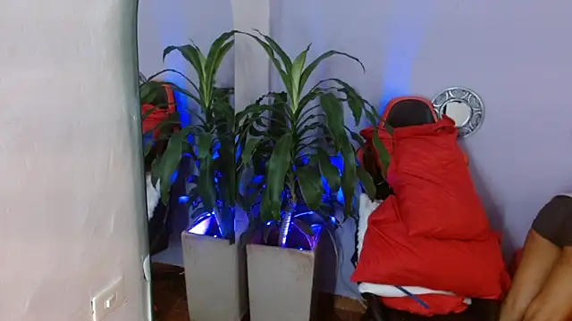 ivy scorpio online show from October 2025 05:51:02 AM