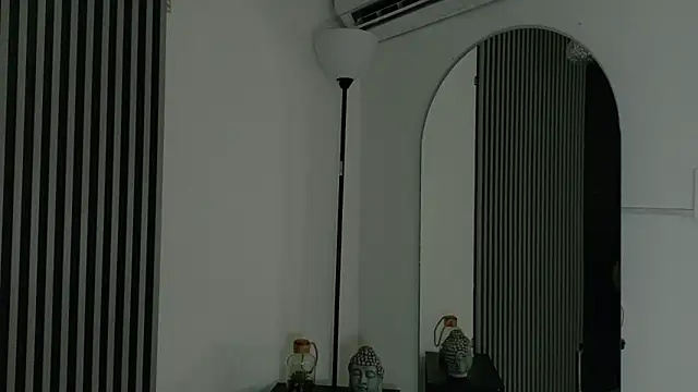 Snapshot of _Gaaia_ chatting on February 2026 01:25:01 PM Gaaia online show from February 2026 01:25:01 PM