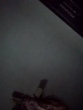 pussyeater40 online show from November 2025 09:41:02 AM