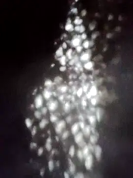 Snapshot of Perropa chatting on January 2026 05:28:02 PM Perropa online show from January 2026 05:28:02 PM