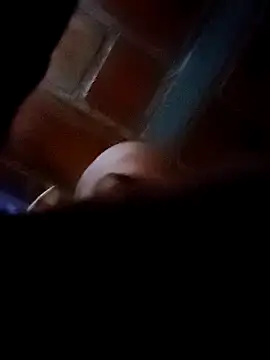 Snapshot of Perropa chatting on February 2026 11:36:02 AM Perropa online show from February 2026 11:36:02 AM