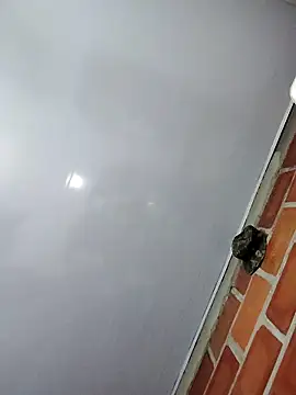 Snapshot of Perropa chatting on February 2026 01:16:02 AM Perropa online show from February 2026 01:16:02 AM