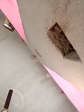 Payal950 online show from February 2026 07:45:02 AM