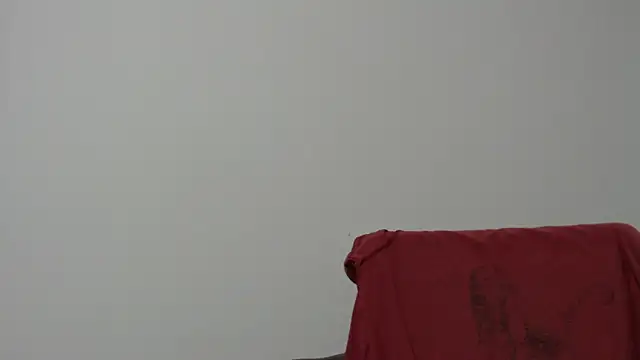 Snapshot of Rocky_Muscle chatting on February 2026 04:50:02 AM Rocky Muscle online show from February 2026 04:50:02 AM