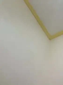 igsva online show from November 2025 10:26:01 AM