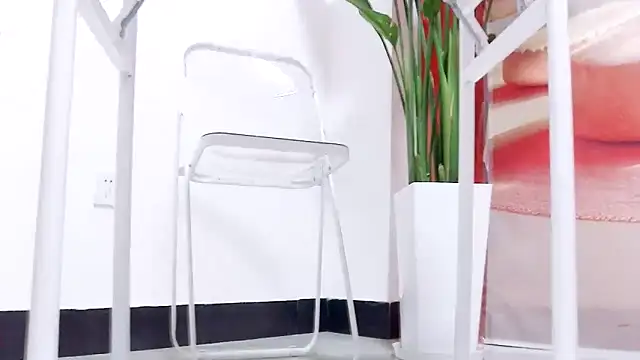 Tianxin6 online show from January 2026 08:18:02 AM