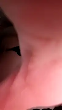 Yananamck online show from October 2025 10:17:02 AM