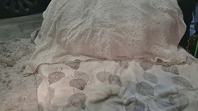 Gmajor online show from March 2026 12:38:02 AM