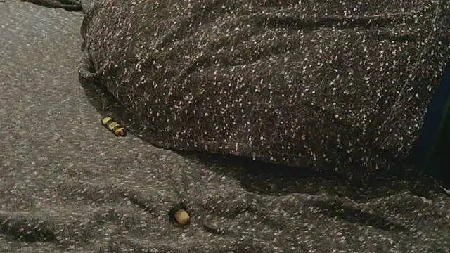 Gmajor online show from April 2026 10:25:02 PM