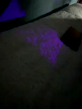 disvla online show from November 2025 05:17:01 AM