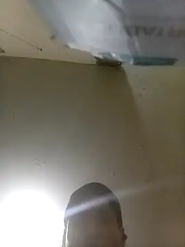 Bebicho14 online show from September 2025 07:51:02 AM