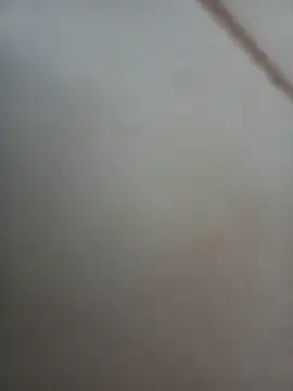 Snapshot of Jobson40 chatting on November 2025 12:01:02 AM Jobson40 online show from November 2025 12:01:02 AM