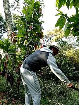 AlphaAlterX online show from February 2026 01:23:02 PM